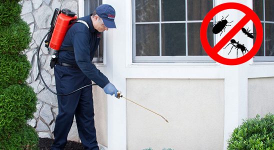 Boyalık Kene İlaçlama böcek ilaçlama ve haşere kontrolü — ilaclama-tr.com